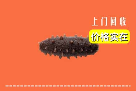 商丘宁陵县回收海参