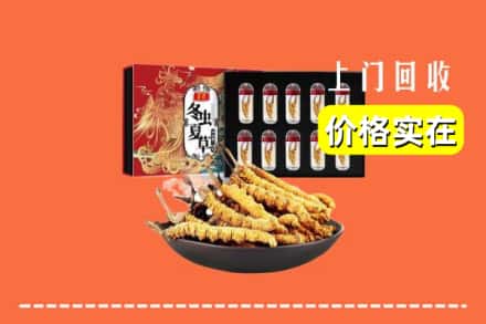 商丘宁陵县回收虫草